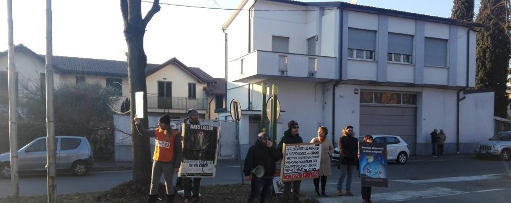 Portate I Bimbi Da Unaltra Parte La Protesta Divampa Fuori Dal